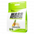 Mass Definition 3 kg 