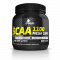 BCAA 1100 Mega Caps - 300 kaps